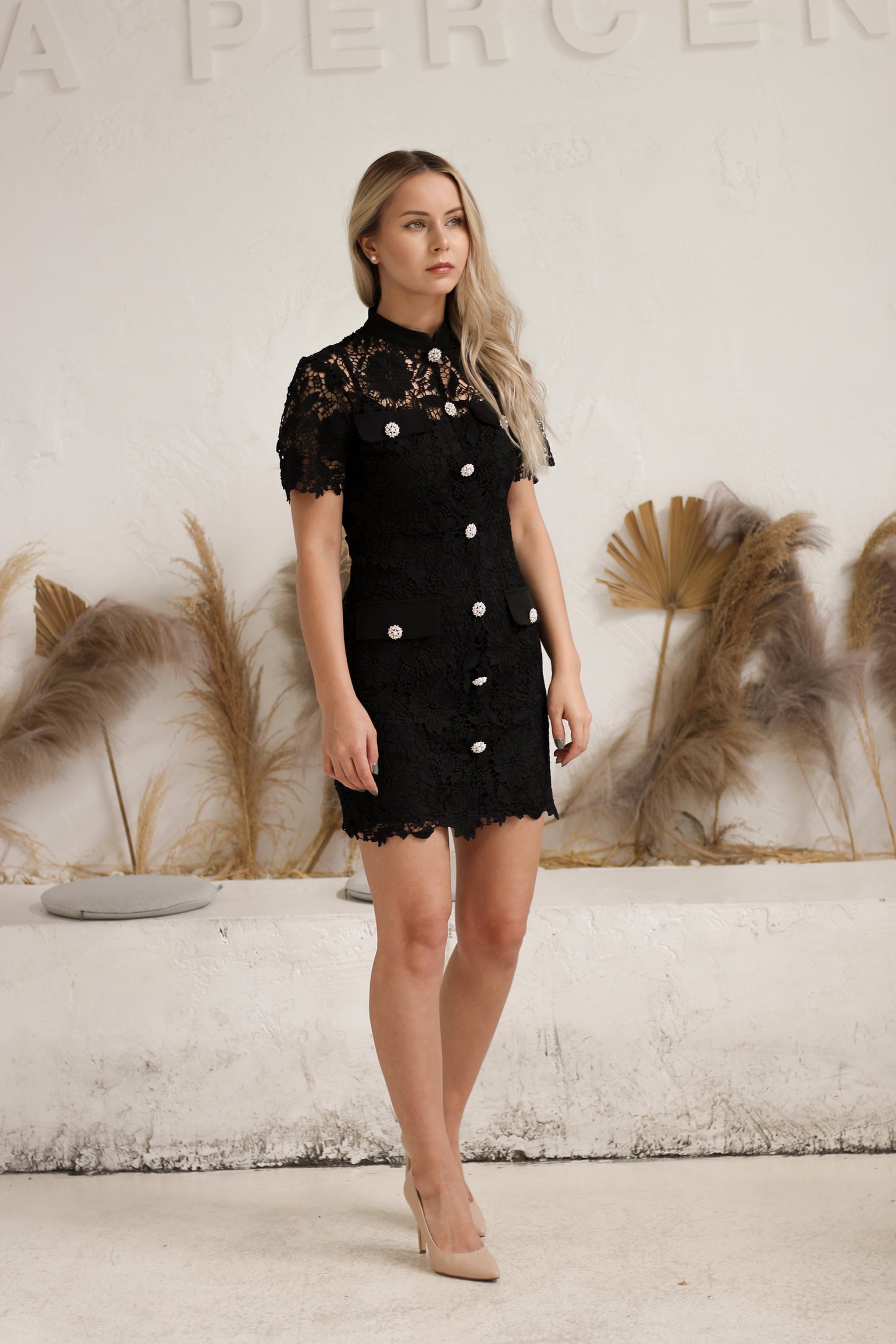 Charlotte Collar Lace Mini Dress